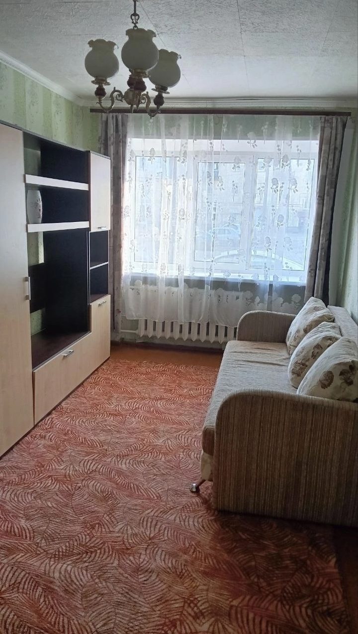 Студия, Котика, Бор