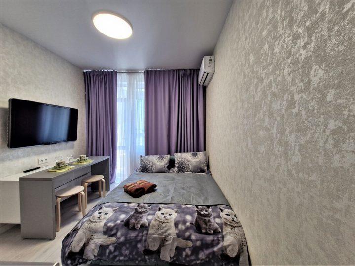 Студия, Каргина, д., Мытищи